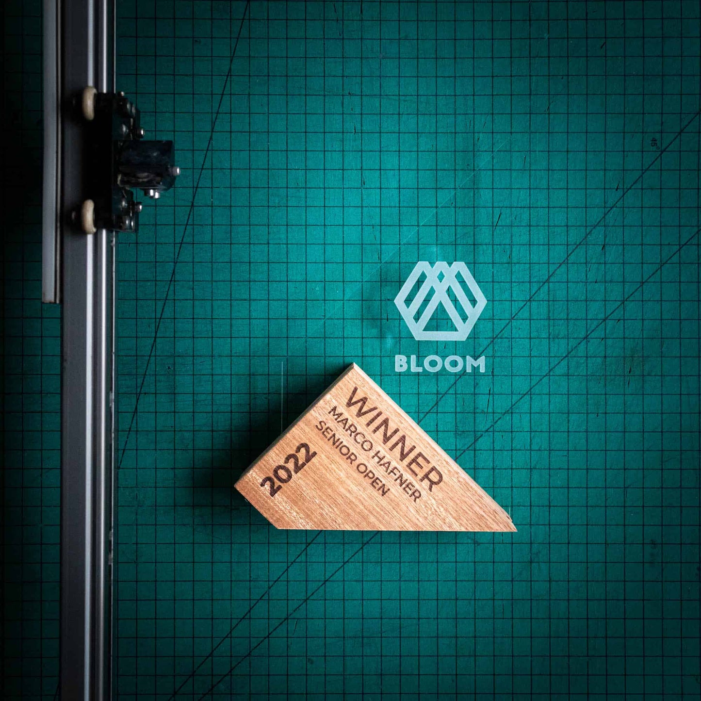 Eco-Friendly Wooden and Perspex Award - Genoa