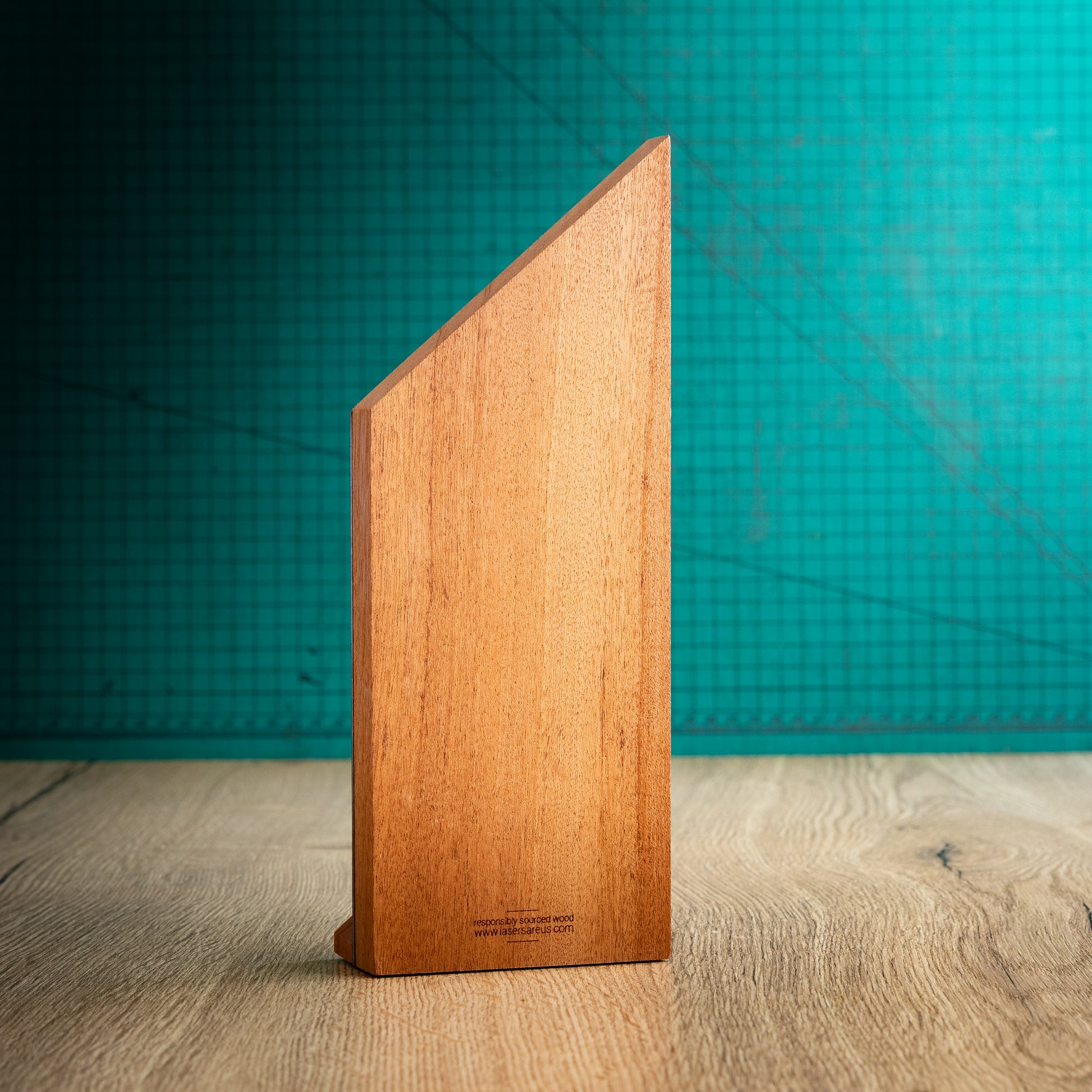 The back of a peak style eco-friendly wooden trophy